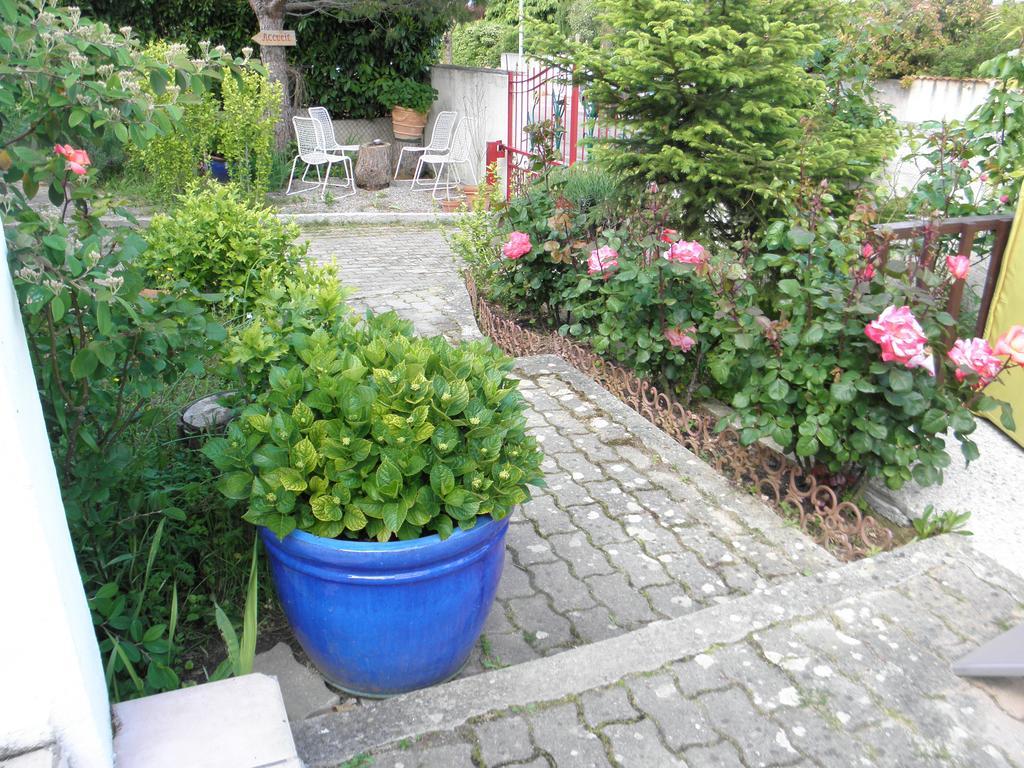 Bed & Breakfast Le Beausejour Carcassonne Exteriér fotografie